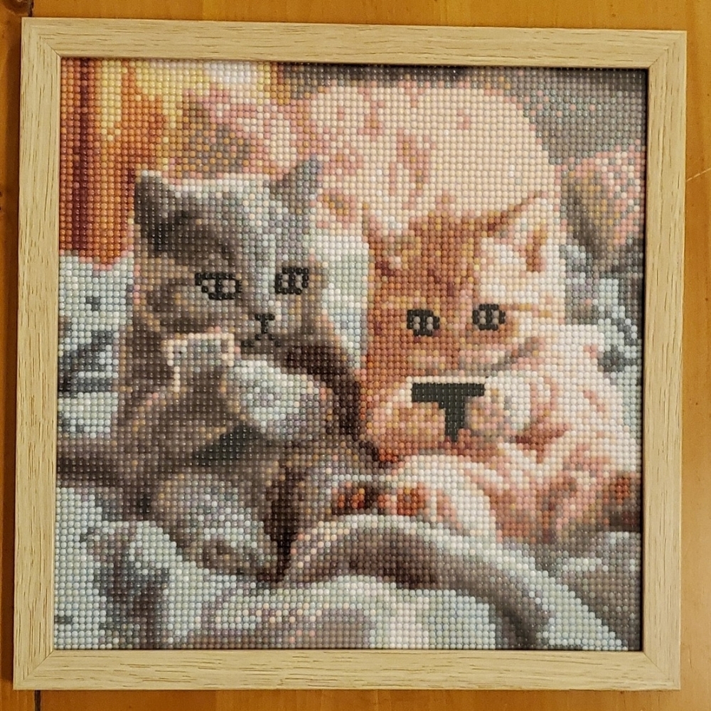Framed Cat 5D Diamond Art Painting